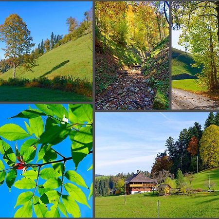 Emmental Ferien Apartment Langnau Bagian luar foto