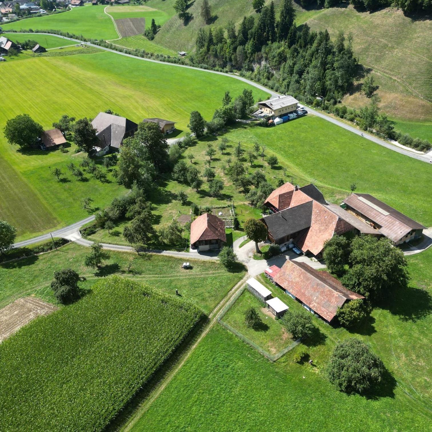 Emmental Ferien Apartment Langnau Bagian luar foto