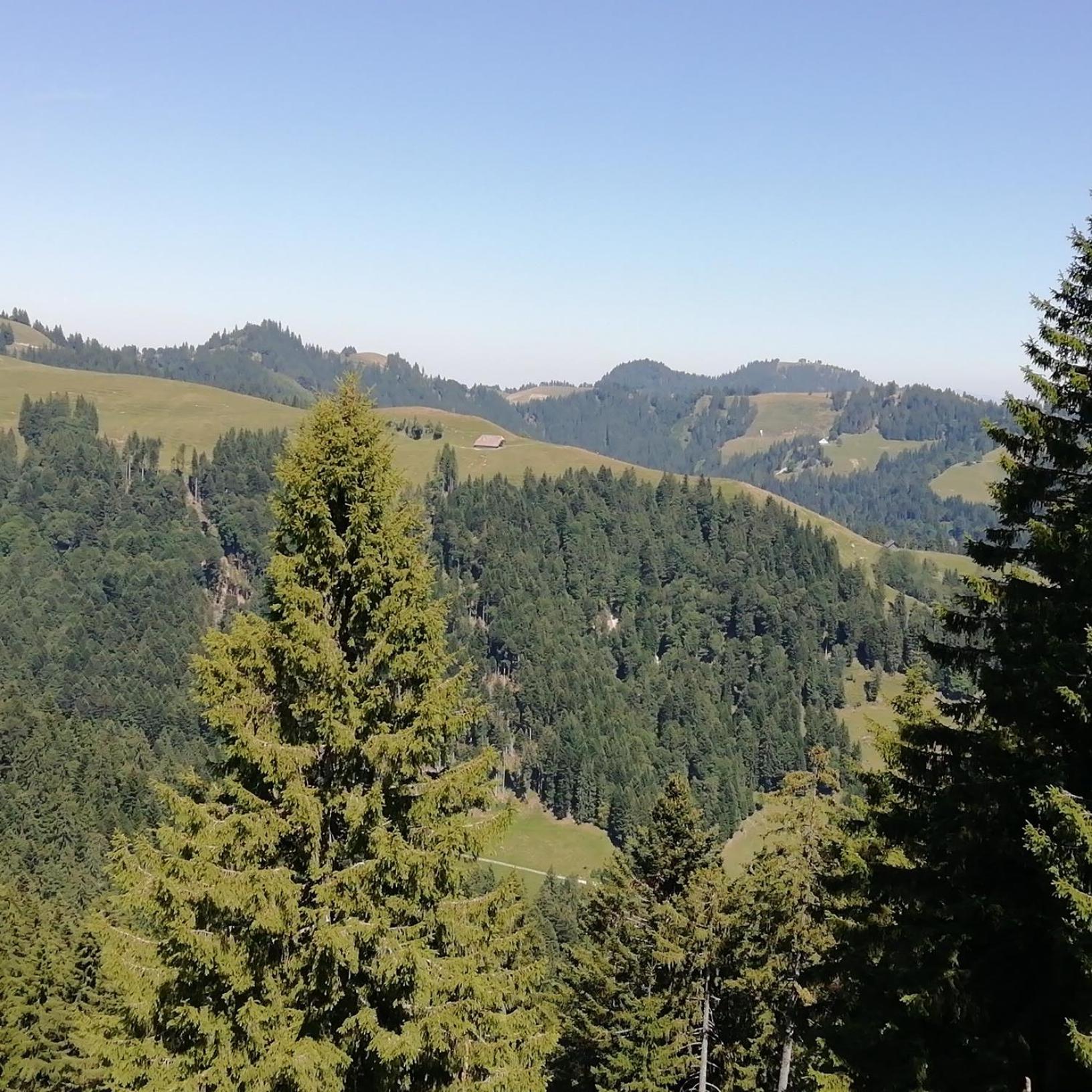Emmental Ferien Apartment Langnau Bagian luar foto