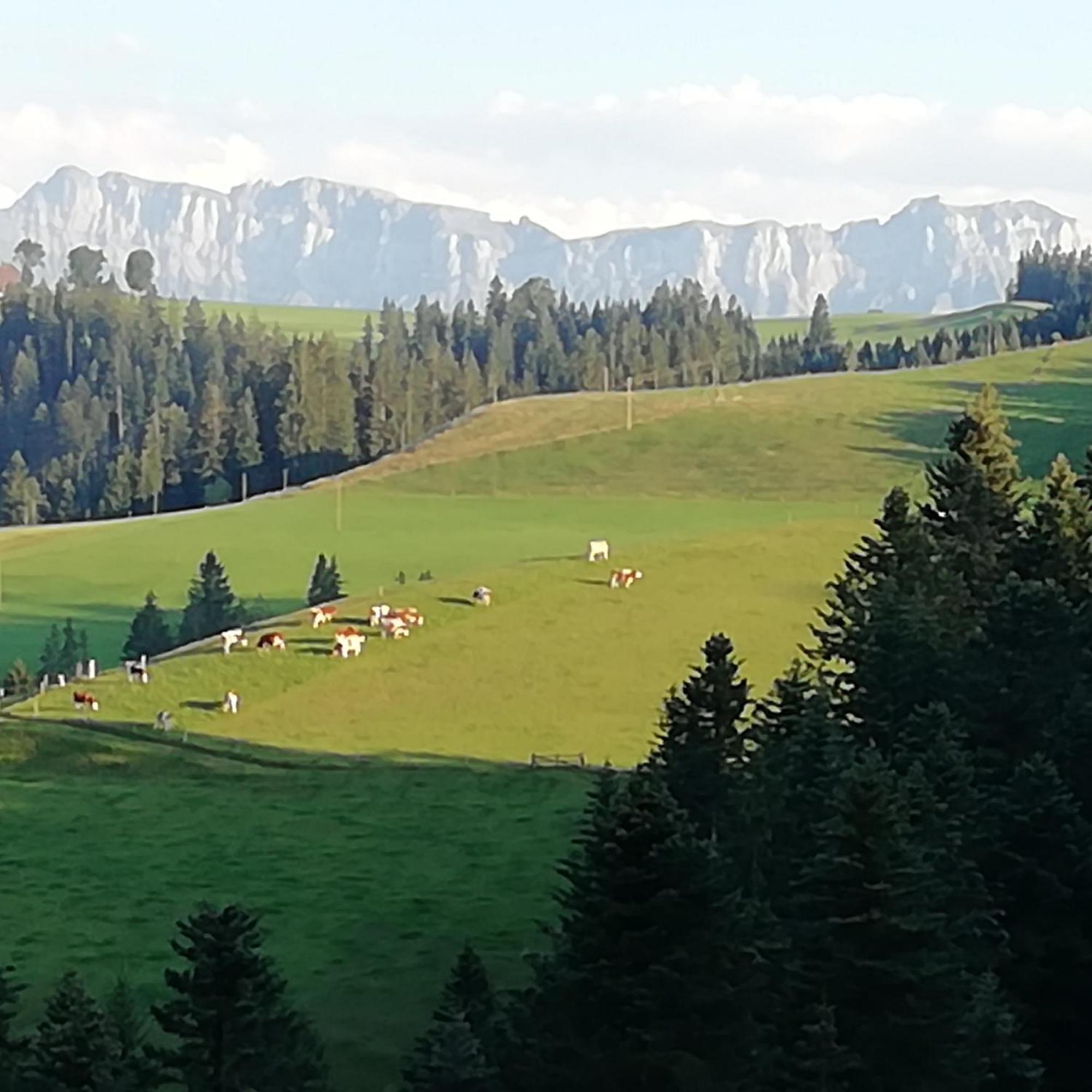 Emmental Ferien Apartment Langnau Bagian luar foto