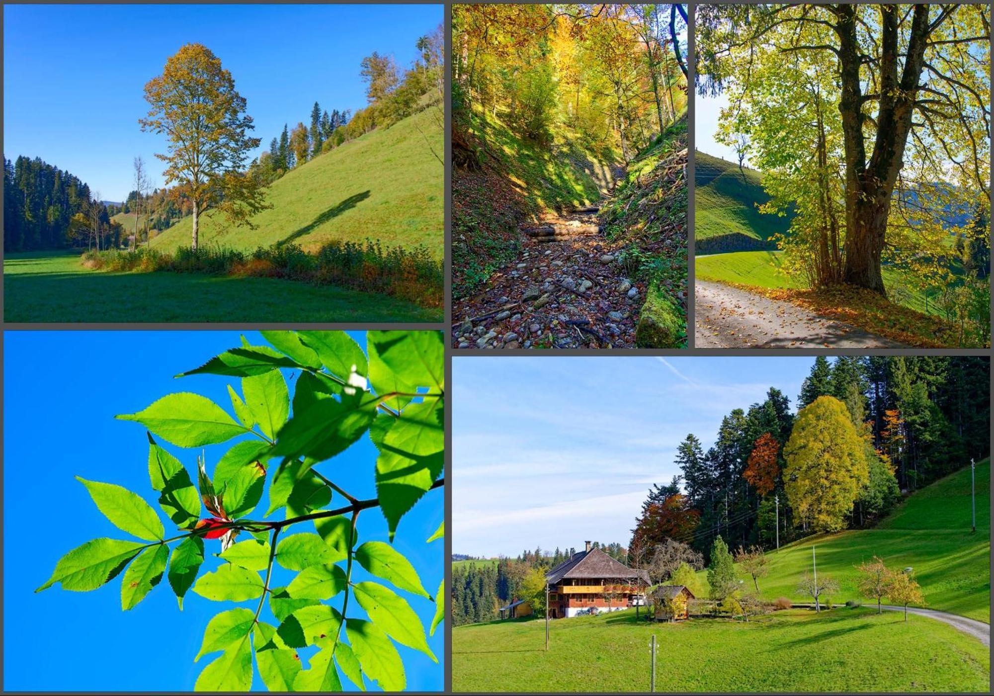 Emmental Ferien Apartment Langnau Bagian luar foto