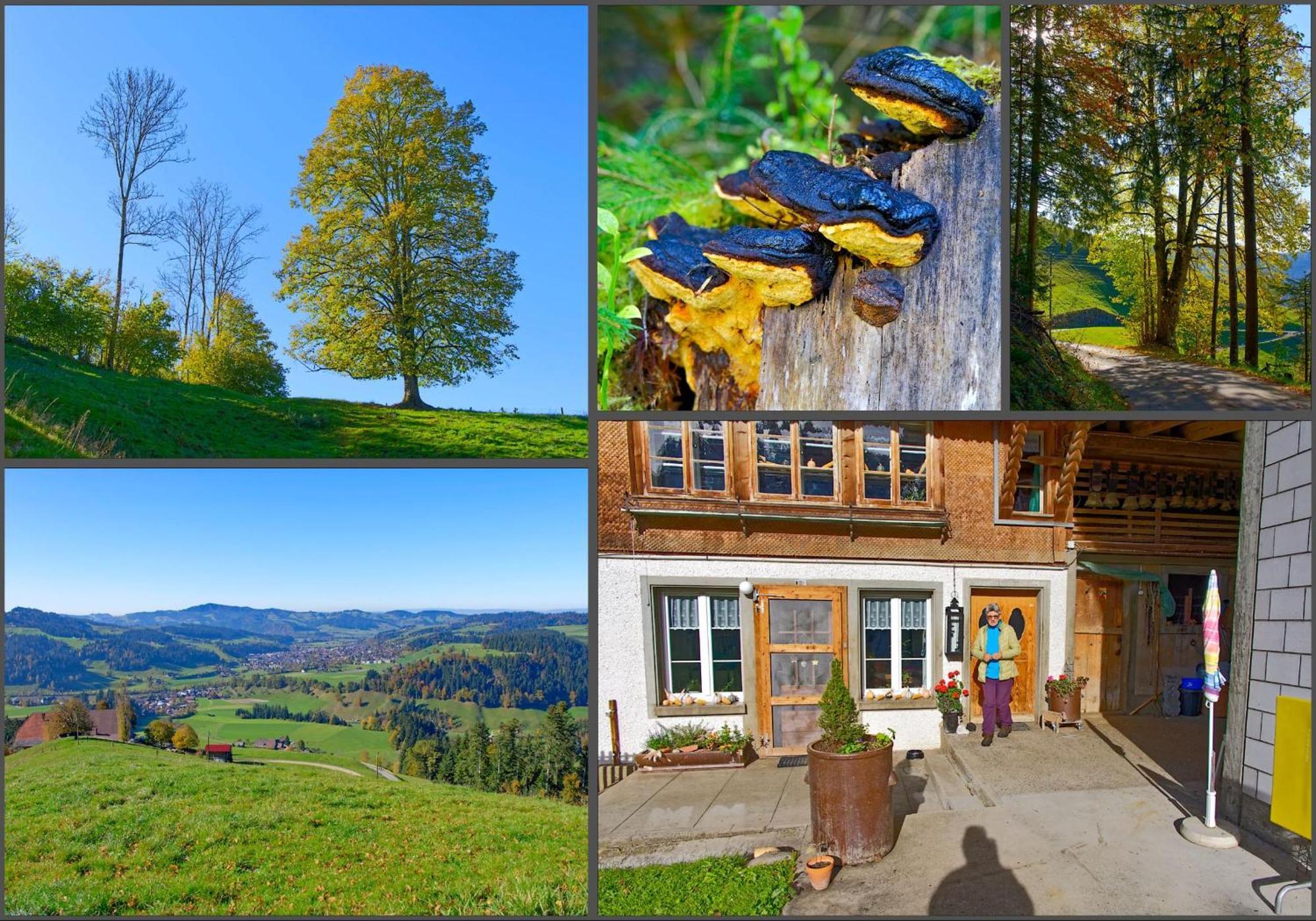 Emmental Ferien Apartment Langnau Bagian luar foto