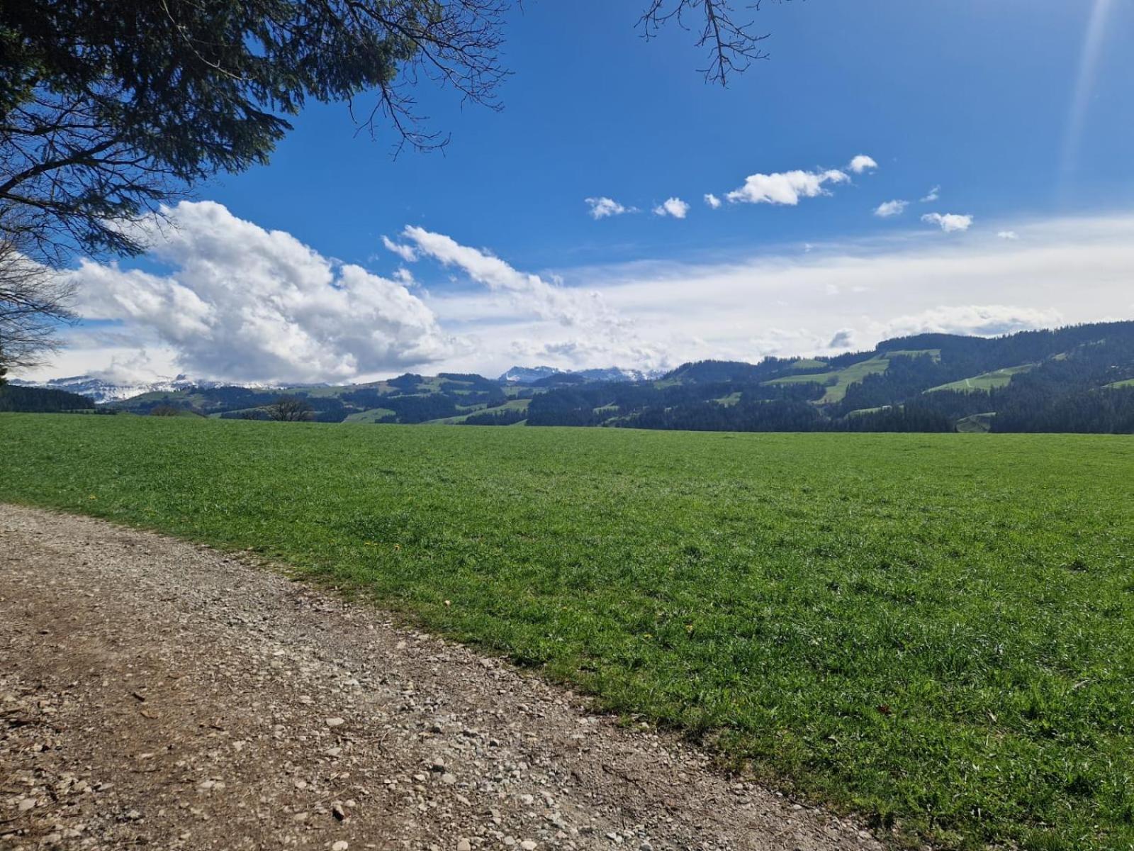 Emmental Ferien Apartment Langnau Bagian luar foto