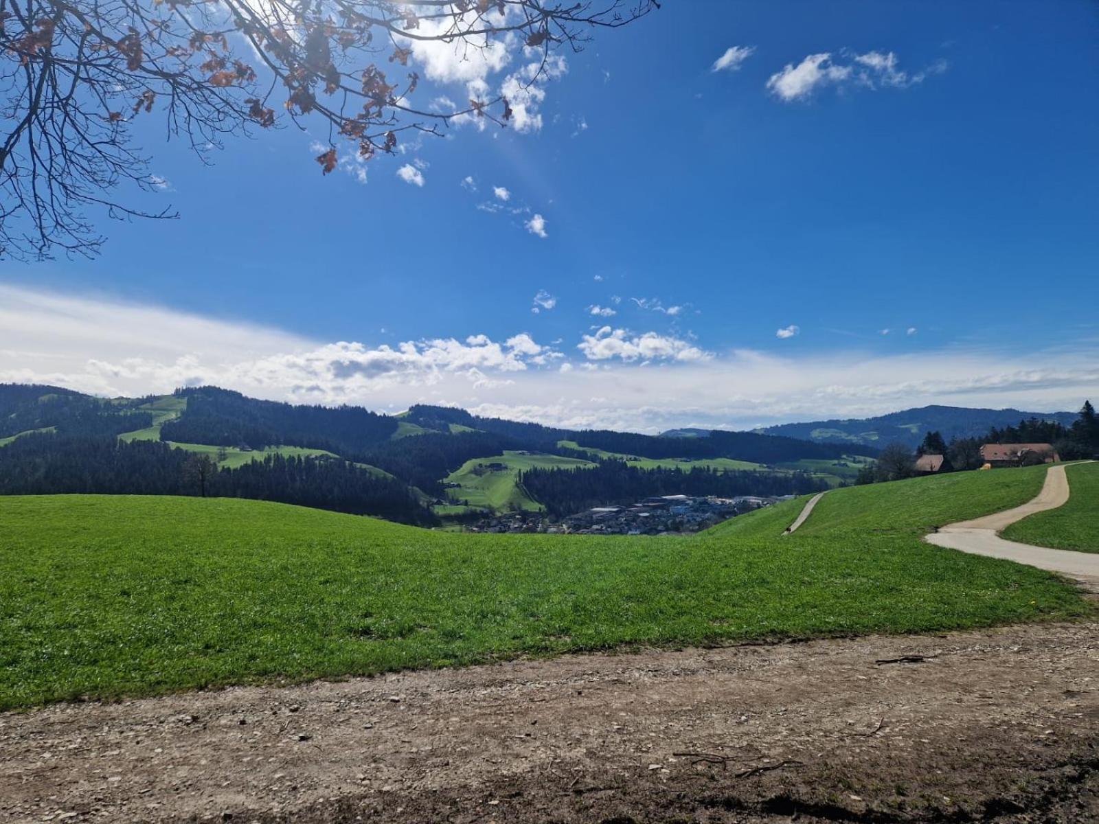Emmental Ferien Apartment Langnau Bagian luar foto