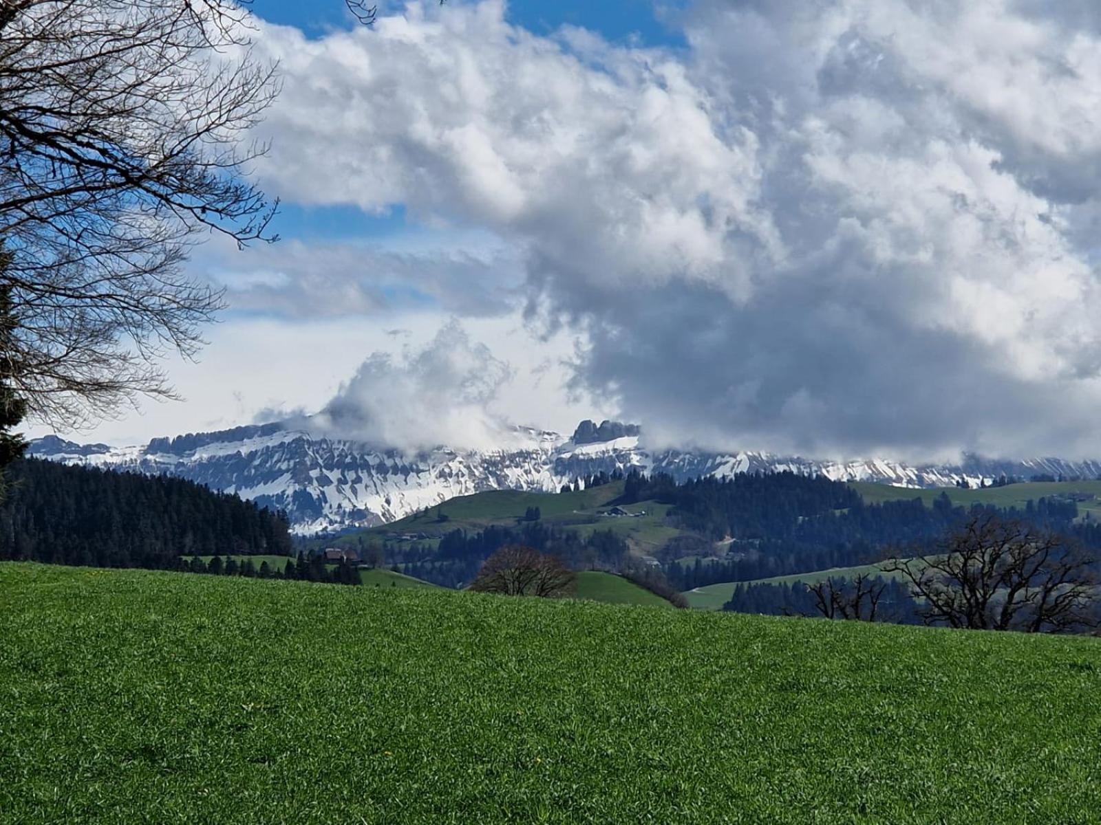 Emmental Ferien Apartment Langnau Bagian luar foto